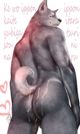 anthro athletic athletic_anthro athletic_male balls black_nose bodily_fluids butt cum cum_on_butt curled_tail fur genital_fluids genitals grey_body grey_fur kemono looking_at_viewer male nude nude_anthro nude_male pointy_ears solo tail text koda-kota canid canine canis mammal wolf hi_res japanese_text translation_request unavailable_at_source