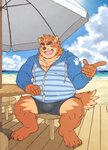 4_toes anthro barefoot beach bottomwear brown_body brown_fur clothing detailed_background feet footwear fur hoodie kemono male musclegut muscular muscular_male outside overweight overweight_anthro overweight_male seaside shorts sitting solo toes topwear water ryuta-h canid canine mammal hi_res