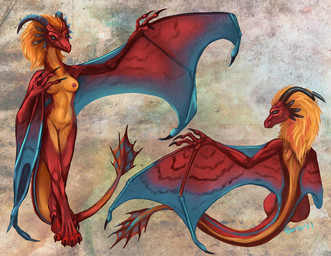 anthro areola belly blonde_hair blue_eyes breasts claws feet female fin front_view genitals hair horn medium_breasts membrane_(anatomy) nipples non-mammal_breasts non-mammal_nipples nude raised_arm rear_view red_body simple_background smile solo standing tail tail_fin vulva winged_arms wings yellow_belly caribou_(artist) european_mythology mythology eztli_(user_55) dragon mythological_creature mythological_scalie scalie western_dragon wyvern digital_media_(artwork) model_sheet