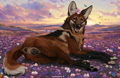 anatomically_correct anatomically_correct_genitalia anatomically_correct_vulva animal_genitalia animal_vulva anus black_anus black_pawpads black_vulva brown_body brown_fur butt canine_genitalia canine_vulva detailed_background fangs female female_feral feral flower flower_on_head fur genitals jewelry landscape looking_at_viewer looking_back looking_back_at_viewer lying meadow necklace on_side pawpads plant presenting presenting_anus presenting_hindquarters presenting_vulva rear_view sky solo sunset teeth vulva whiskers truegrave9 meinir_(runapup) ambient_arthropod ambient_butterfly ambient_insect canid canine mammal maned_wolf 2025 hi_res