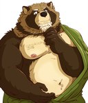 anthro belly brown_body brown_fur fur humanoid_hands kemono male mature_male moobs navel nipples overweight overweight_male simple_background solo raichoclub canid canine mammal raccoon_dog tanuki 2024 hi_res