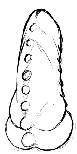 erection frill_(anatomy) genitals knot male membrane_(anatomy) membranous_frill multi_genitalia multi_knot penis solo studs ask-a-deathclaw_(artist) hi_res monochrome
