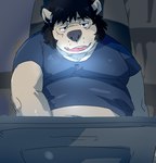 anthro belly black_nose clothing eyewear glasses kemono male navel overweight overweight_male shirt sitting solo topwear train_(artist) mammal 2022