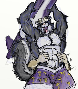 5_fingers abs anthro black_body black_fur blonde_hair clothed clothing duo featureless_chest fingers fluffy fluffy_tail fur hair hair_over_eyes holding_object holding_surfboard male multicolored_body multicolored_fur muscular muscular_anthro muscular_male open_mouth pecs purple_clothing purple_swimwear raised_arms simple_background solo_focus surfboard swimming_trunks swimwear tail tickle_fetish tickling tickling_belly topless topless_anthro topless_male two_tone_body two_tone_fur white_background white_body white_fur kctk zach_hastings mammal mephitid skunk