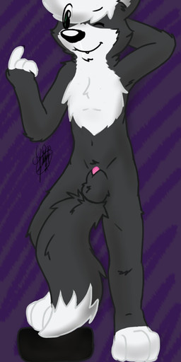 animal_genitalia anthro balls beckoning biped black_body black_ears black_fur black_nose blue_body blue_fur chest_tuft dipstick_tail eyebrow_through_hair eyebrows fur genitals gesture grey_inner_ear hair male markings multicolored_body multicolored_fur nude one_eye_closed penis penis_tip sheath simple_background solo tail tail_markings translucent translucent_hair tuft two_tone_body two_tone_fur white_hair wink gaokun canid canine mammal 2015 hi_res watermark