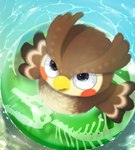 anthro brown_body flotation_device high-angle_view looking_at_viewer looking_up looking_up_at_viewer male open_mouth partially_submerged solo swimming neocerapaima animal_crossing nintendo blathers_(animal_crossing) avian bird owl 2021 hi_res