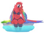 anthro beak bikini breasts clothing eyewear feathered_wings feathers female foot_in_water glasses grass hair plant pool scaly_legs sitting sitting_on_ground solo swimwear two-piece_swimsuit water wings omumacaw omu avian bird neotropical_parrot parrot true_parrot hi_res