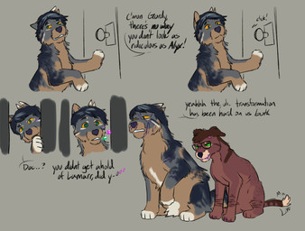 blue_body blue_fur duo eyewear feral fluffy fur hair male notched_ear scratches simple_background size_difference tail wounded puppyratcat alien canid canine felid feline hybrid mammal xog comic