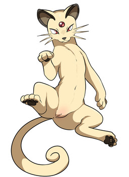 anus feet female feral forehead_gem gem genitals navel pawpads paws simple_background solo spread_legs spreading tail vulva whiskers white_background yttriumi2f nintendo pokemon felid feline felis generation_1_pokemon mammal persian_(pokemon) pokemon_(species) 2025 absurd_res hi_res