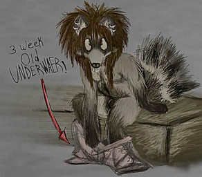 animal_genitalia anthro bed clothing directional_arrow facial_piercing furniture genitals looking_at_viewer male musk piercing sheath sitting solo tail tail_motion text underwear raymondraccoon mammal procyonid raccoon