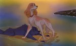alternate_universe ambiguous_gender collar duo feral floppy_ears fur fuzzy grey_body grey_fur looking_away lying on_front orange_body orange_fur outside partially_submerged protecting protective rock sad scared standing water water_ripple malotte belfort_and_lupin disney the_fox_and_the_hound belfort_(belfort_and_lupin) lupin_(belfort_and_lupin) bird_dog canid canine canis domestic_dog french_spaniel hunting_dog mammal spaniel wolf hi_res male_(lore)
