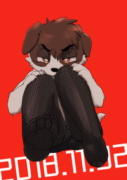 4_fingers 4_toes anthro bent_legs black_nose blush blush_lines briefs brown_body brown_fur bulge claws clothing date embarrassed eyebrows feet finger_claws fingers fishnet_clothing fishnet_leggings fishnet_legwear foot_fetish foot_focus fur head_tuft leggings legwear looking_at_viewer male open_mouth pawpads paws questionable_consent red_background simple_background sitting sitting_on_ground solo teasing teasing_viewer teasing_with_feet toe_claws toes tuft underwear upset white_body white_fur yellow_eyes young young_anthro young_male tooboe_laugh canid canine canis domestic_dog mammal hi_res