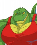 5:6 anthro clothing crocodile crocodilian hi_res looking_at_viewer male muscular muscular_anthro muscular_male pecs pose reptile scales scalie shirt simple_background solo tank_top topwear wani white_background yellow_eyes yongdasom