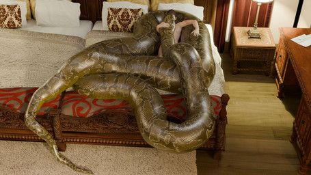 bed bedroom carpet coiling duo feral furniture hug interior_background male nude nude_male size_difference hakhop anaconda boa_(snake) boinae human mammal reptile scalie snake 3d_(artwork) digital_media_(artwork) hi_res
