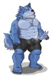 anthro barazoku black_nose blue_body blue_eyes blue_fur bodily_fluids bulge clothing fur genitals humanoid_hands kemono male nipples penis simple_background solo sweat underwear white_background raichoclub canid canine canis mammal wolf 2017