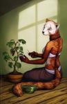 5_fingers ailurid anthro biped bonsai bottomwear bowl c.t.elder clothed clothing container facial_markings female fingers fur ginny_(sf) half-closed_eyes head_markings hi_res inner_ear_fluff inside long_tail mammal markings narrowed_eyes plant red_panda scissors semper_fidelis sitting skirt solo tail tuft
