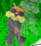 anthro black_clothing black_eyewear black_glasses black_jacket black_topwear boots clothed clothing costume eyewear footwear fur glasses gun jacket looking_at_viewer male orange_body orange_fur ranged_weapon shoes short_ears solo topwear weapon tornado_kid conker's_bad_fur_day rareware the_matrix conker mammal rodent sciurid tree_squirrel signature traditional_media_(artwork)