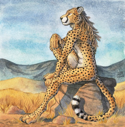 4_toes 5_fingers anthro athletic athletic_anthro belly black_nose casual_nudity countershade_legs countershade_torso countershading day detailed_background digitigrade dreadlocks feet fingers fur grass male markings nude orange_body orange_fur outdoor_nudity outside plant rock sitting sky solo spots spotted_body spotted_fur toes white_belly white_chest yellow_body yellow_fur 0laffson cheetah felid feline mammal 2022 hi_res painting_(artwork) traditional_media_(artwork) traditional_painting_(artwork) traditional_watercolor_(artwork) watercolor_(artwork)
