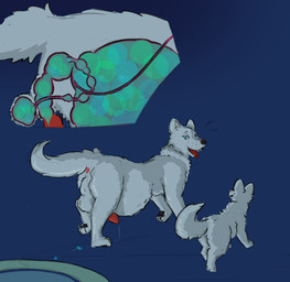 andromorph balls_inflation bladder_inflation blue_eyes dripping duo feral fur grey_body grey_fur hot_tub inflation internal intersex rear_view water water_jet boilingbismuth orbeez canid canine canis fox mammal wolf