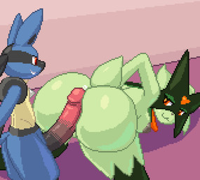 anthro barely_visible_genitalia barely_visible_vulva big_butt big_penis blue_body blue_fur bodily_fluids breasts bubble_butt butt duo erection female fur genital_fluids genitals green_body green_fur hot_dogging huge_penis humanoid_genitalia humanoid_penis looking_at_another looking_back looking_back_at_another male male/female nipples penis precum red_eyes sex smile vulva mykiio nintendo pokemon clover_(mykiio) lucky_(mykiio) canid canine felid feline generation_4_pokemon generation_9_pokemon lucario mammal meowscarada pokemon_(species) animated digital_media_(artwork) pixel_(artwork) pixel_animation short_playtime