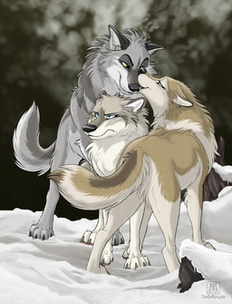 black_nose blue_eyes brown_body brown_fur female feral fur grey_body grey_fur group licking licking_another male male/female outside snow tail tongue tongue_out trio unimpressed whisker_spots whiskers yellow_eyes conditional_dnp tani_da_real canid canine canis mammal wolf hi_res