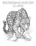 feral fur leopard_spots markings solo spots spotted_body spotted_fur stalking rog_minotaur felid leopard mammal pantherine 2002 monochrome