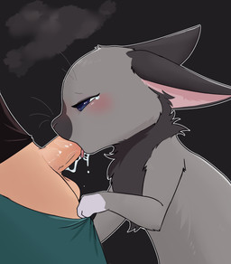 balls bestiality blue_eyes blush bodily_fluids duo fellatio female feral fluffy fluffy_chest genitals grey_body half-closed_eyes male male/female narrowed_eyes oral penile penis saliva saliva_string sex simple_background teary_eyes tongue tongue_out cozyfruit mya_(cozyfruit) human lagomorph leporid mammal rabbit absurd_res hi_res