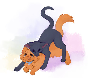 animal_genitalia bite black_body black_fur blue_eyes bodily_fluids collar duo feral feral_on_feral fur genitals male orange_body orange_fur scruff_bite tears conditional_dnp waterthissport warriors_(book_series) crowfeather_(warriors) fan_character domestic_cat felid feline felis mammal absurd_res hi_res