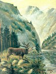 1908 20th_century absurd_res adolf_hitler_(artist) ancient_art antlers brown_body brown_fur cervine cloud dated day deer elk feral forest formal_art fur grass hi_res horn male mammal mountain nature nature_background open_mouth outside painting_(artwork) plant rock signature solo traditional_media_(artwork) tree water