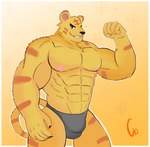 abs absurd_res animal_crossing anthro barazoku biceps bulge clothed clothing digital_drawing_(artwork) digital_media_(artwork) felid fist_pump flexing gio-joe gradient_background hi_res male mammal muscular muscular_anthro muscular_male nintendo nipples pantherine pecs shaded simple_background smile solo tiger tybalt_(animal_crossing) underwear underwear_only yellow_background