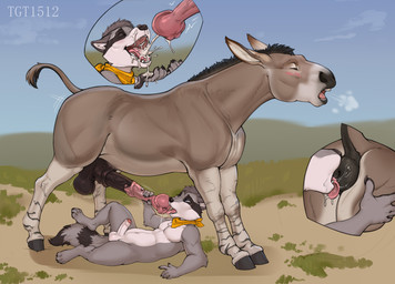 4_toes 5_fingers anal anatomically_correct anatomically_correct_genitalia animal_genitalia animal_penis anthro anthro_on_feral anthro_rimming anthro_rimming_feral anus balls bestiality big_balls big_flare black_anus black_balls black_hair black_nose black_penis black_sheath blue_eyes blush blush_lines bodily_fluids brown_body brown_fur butt cheek_tuft claws cum cum_drip cum_in_mouth cum_inside cum_on_face cum_on_hand cumshot dripping duo ejaculation equine_anus equine_genitalia equine_penis erection eyes_closed facial_markings facial_tuft fangs feet feral feral_rimmed finger_claws fingers flared_penis fluffy fluffy_tail foreskin fur genital_fluids genitals grass grey_body grey_fur grey_hooves hair half-closed_eyes hand_on_butt hand_on_penis handjob head_markings hooves humanoid_genitalia humanoid_penis interspecies kerchief kerchief_only licking long_ears looking_pleasured lying male male/male male_anthro male_feral male_on_anthro male_on_feral male_rimmed male_rimming male_rimming_male mane markings mostly_nude mottled mottled_genitalia mottled_penis narrowed_eyes neckerchief neckerchief_only neckwear on_back on_grass on_ground open_mouth oral orgasm orgasm_face outside outside_sex pelvic_thrust penile penis pink_penis pink_tongue plant precum puffy_anus quadruped rimming rimming_male saliva saliva_on_anus saliva_on_penis scarf scarf_only sex sheath short_mane sigh size_difference sky smile striped_legs striped_markings striped_tail stripes tail tail_anus tail_markings tail_tuft tan_body tan_fur teeth toe_claws toes tongue tongue_out tuft unguligrade urethra urethral_fossa vein veiny_penis white_body white_fur yellow_scarf conditional_dnp tgt1512 coontail coontail_v2 african_wild_ass african_wild_donkey asinus donkey equid equine mammal procyonid raccoon digital_media_(artwork) hi_res