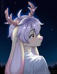 anthro antlers biped clothing fur hair horn male night shirt sky solo star starry_sky topwear white_clothing white_hair white_shirt white_topwear yellow_body yellow_eyes yellow_fur helicopterfood jackalope lagomorph mammal 2024 hi_res