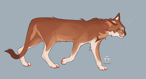 ambiguous_feral ambiguous_gender blue_border blue_eyes border brown_body brown_fur cheek_tuft facial_tuft feral fur grey_background leg_markings leg_tuft logo markings mouth_closed neck_tuft pawpads red_nose red_pawpads side_view simple_background socks_(marking) solo text tuft whiskers white_body white_fur justkiddinb domestic_cat felid feline felis mammal artist_logo artist_name hi_res