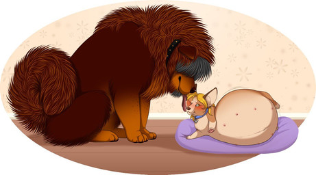 4_toes belly big_belly black_claws black_collar blonde_hair blue_collar blush brown_body brown_fur brown_hair brown_nose brown_tail button_ears chest_tuft claws collar collar_only collar_tag curled_tail cushion digitigrade duo face_lick feet female feral feral_on_feral feral_with_hair floor floppy_ears fluffy fluffy_tail fur grey_hair hair hair_over_eyes huge_belly hyper hyper_belly hyper_pregnancy inside larger_feral larger_male licking long_hair looking_at_another looking_at_partner looking_away looking_down lying male male/female mane markings motion_lines multi_nipple multicolored_body multicolored_fur multicolored_hair neck_tuft nipples nude on_ground on_pillow on_side one_eye_closed orange_body orange_fur pawpads pillow pink_nipples pink_tongue pregnant pregnant_female pregnant_feral quadruped shadow side_view simple_background sitting size_difference smaller_female snout spots studded_collar studs tail tan_belly tan_body tan_fur toe_claws toes tongue tongue_out tuft two_tone_body two_tone_fur two_tone_hair wood wood_floor yellow_eyes flittermilk canid canine canis domestic_dog herding_dog livestock_guardian_dog mammal molosser mountain_dog pastoral_dog tibetan_mountain_dog welsh_corgi full-length_portrait portrait