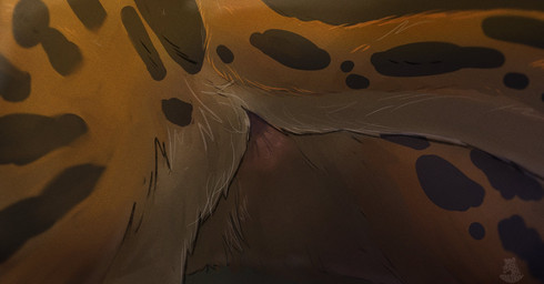 anus balls feral fluffy fur genitals male perineum solo nolow nolow_(character) cheetah felid feline mammal 2022 hi_res