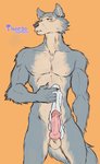 2021 anthro balls beastars canid canine canis claws erection front_view fur genitals grey_body grey_fur humanoid_genitalia humanoid_penis hybrid_genitalia hybrid_penis knot knotted_humanoid_penis knotted_penis legoshi_(beastars) male mammal muscular muscular_anthro muscular_male nude penis portrait simple_background solo standing thorso_the_vile three-quarter_portrait wolf