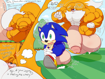 anthro balls big_balls big_butt big_muscles big_penis butt duo genitals growth huge_balls huge_butt huge_muscles huge_penis hyper hyper_balls hyper_butt hyper_genitalia hyper_muscles hyper_penis male muscle_growth muscular penis solo text lewdy_ludi sega sonic_the_hedgehog_(series) miles_prower sonic_the_hedgehog canid canine eulipotyphlan fox hedgehog mammal 4:3 absurd_res english_text hi_res