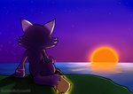 anthro cliff cliff_side glowing glowing_markings glowing_tail glowing_tail_tip grass markings night outside plant rear_view reflection relaxing sea sitting sky solo star starry_sky sun sunset tail water sonicluxhedgeman soniclux impim absurd_res digital_media_(artwork) hi_res signature watermark