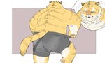 anthro butt clothing humanoid_hands kemono male overweight overweight_male solo underwear yellow_body inunoshippo felid mammal pantherine tiger 2022 5:3