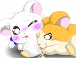 anal anal_fingering blush bodily_fluids cunnilingus duo female feral feral_on_feral fingering fingering_partner genitals oral pussy sex tears tongue vaginal suvaru hamtaro_(series) bijou_(hamtaro) hamtaro cricetid hamster mammal rodent