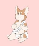 anthro baby brown_body brown_fur clean_diaper clothed clothing diaper fur looking_up male pawpads paws pink_background simple_background sitting solo tan_body tan_fur wearing_diaper young young_anthro young_male fluffypamps corey(fluffypamps) canid canine canis domestic_dog herding_dog mammal pastoral_dog welsh_corgi 2025 hi_res