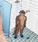 anthro balls bathing bathroom brown_body casual_nudity drain ellipsis flaccid foreskin fur genitals high-angle_view humanoid_genitalia humanoid_hands humanoid_penis male muscular muscular_anthro muscular_male navel nipples nude penis shower shower_head showering solo speech_bubble standing tail water wet wet_body wet_fur cocktailweeniez mammal mustelid otter hi_res