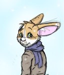 anthro blue_scarf brown_clothing brown_topwear clothed clothing fur green_eyes inner_ear_fluff male mouth_closed orange_body orange_ears orange_fur pink_inner_ear scarf solo teeth topwear tuft white_body white_fur white_inner_ear_fluff young young_anthro young_male bucklebunny lagomorph leporid mammal rabbit low_res