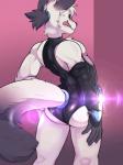 anthro big_butt black_nose butt clothing heart_symbol leather leotard male muscular muscular_anthro muscular_male simple_background solo tongue tongue_out conditional_dnp erobos kitsune_(ero) canid canine fox mammal 3:4 absurd_res hi_res