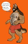 anthro balls beard big_balls bulge clothed clothing facial_hair genitals hairy male muscular muscular_anthro muscular_male nipple_piercing nipples piercing solo douglas_kim canid canine canis domestic_dog german_shepherd herding_dog mammal pastoral_dog hi_res