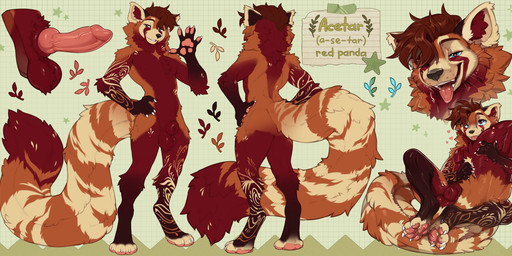 animal_genitalia anthro balls biped butt claws erection feet fingers front_view fur genitals hair looking_at_viewer male nude nude_anthro nude_male penis rear_view sheath sitting smile solo standing tail teeth toes tongue inno-sjoa ailurid mammal red_panda 2026 digital_drawing_(artwork) digital_media_(artwork) hi_res model_sheet