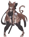 anthro arm_markings bottomwear breasts brown_ears brown_hair brown_inner_ear_fluff brown_tail clothed clothed_anthro clothed_female clothing eyebrows female female_anthro fingers front_view green_eyes hair hand_on_hip inner_ear_fluff leg_markings legwear loincloth long_hair looking_at_viewer markings mouth_closed solo tail thigh_highs thigh_markings topwear tuft wide_hipped_anthro wide_hipped_female wide_hips gyrbdark domestic_cat felid feline felis mammal 2024 absurd_res digital_drawing_(artwork) digital_media_(artwork) full-length_portrait hi_res portrait