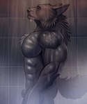 abs animal_genitalia anthro arm_tattoo bathing black_body black_fur black_nose butt chest_tuft eyes_closed fur genitals male muscular muscular_anthro muscular_male nude pecs sheath shoulder_tattoo shower showering solo tattoo tuft water wet wet_body wet_fur marsel-defender canid canine canis mammal wolf 2023 hi_res