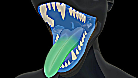 anthro blue_tongue green_tongue grey_body male mawplay mouth_fetish mouth_shot open_mouth oral_vore solo teeth tongue tongue_out uvula vore arcdacad mythology zen_(arcdacad) dragon mythological_creature mythological_scalie scalie 16:9 3d_(artwork) digital_media_(artwork) widescreen