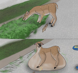 3_toes belly big_belly black_hooves black_nose bloated blue_body blue_eyes brown_body brown_fur claws day dipstick_ears duo ear_markings eyebrows feet female feral fur grass grey_claws hooves huge_belly hyper hyper_belly immobile lying male markings mostly_offscreen_character multicolored_body multicolored_ears multicolored_fur nervous on_front outside plant sign standing tail teeth text toes ingeir_palar mythology ingeir_(ingeir_palar) deer dragon mammal mythological_creature mythological_scalie scalie english_text shaded watermark